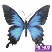 PA1653 Papillon Bleu & noir - 32 cm