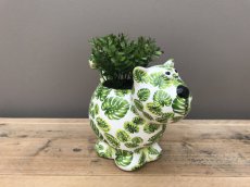 PP-00277-1 Pot de fleurs "Blooming Dorothy" - Green Leave