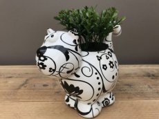 PP-00277-4 Flower Pot "Blooming Dorothy" - Black & White